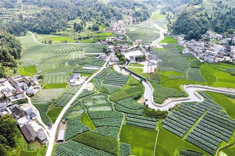 麻江县杏山街道小堡村. (黔东南州生态环境局供图)