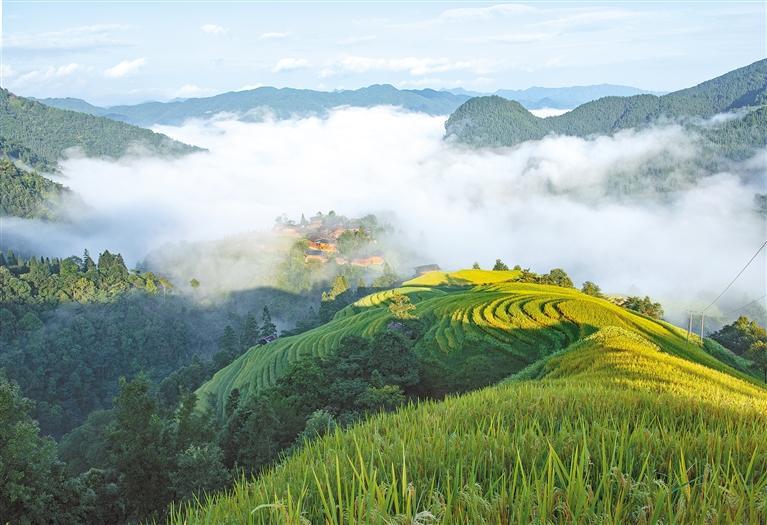 厚植绿色底色 提升生态颜值|黔东南苗族侗族自治州_新浪财经_新浪网