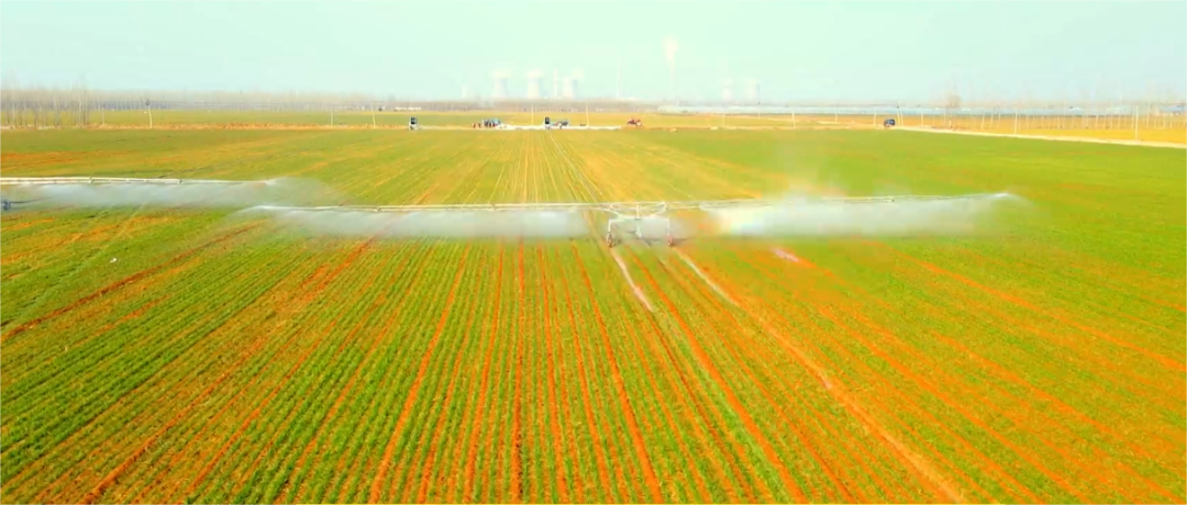 春来农事忙 ,在山东省邹城市石墙镇,种粮大户使用喷灌机助力春耕.