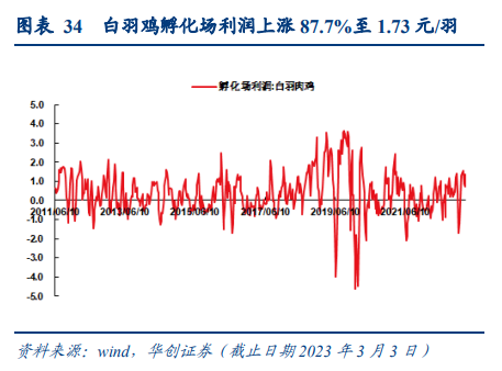 一轮有望创历史新高的“鸡周期”来了？