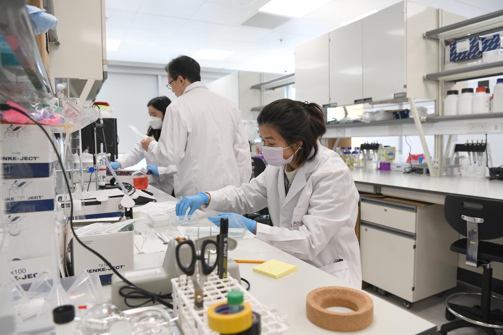 工作人员在香港科学园生物医药科技培育计划 (incu-bio) 共享实验室