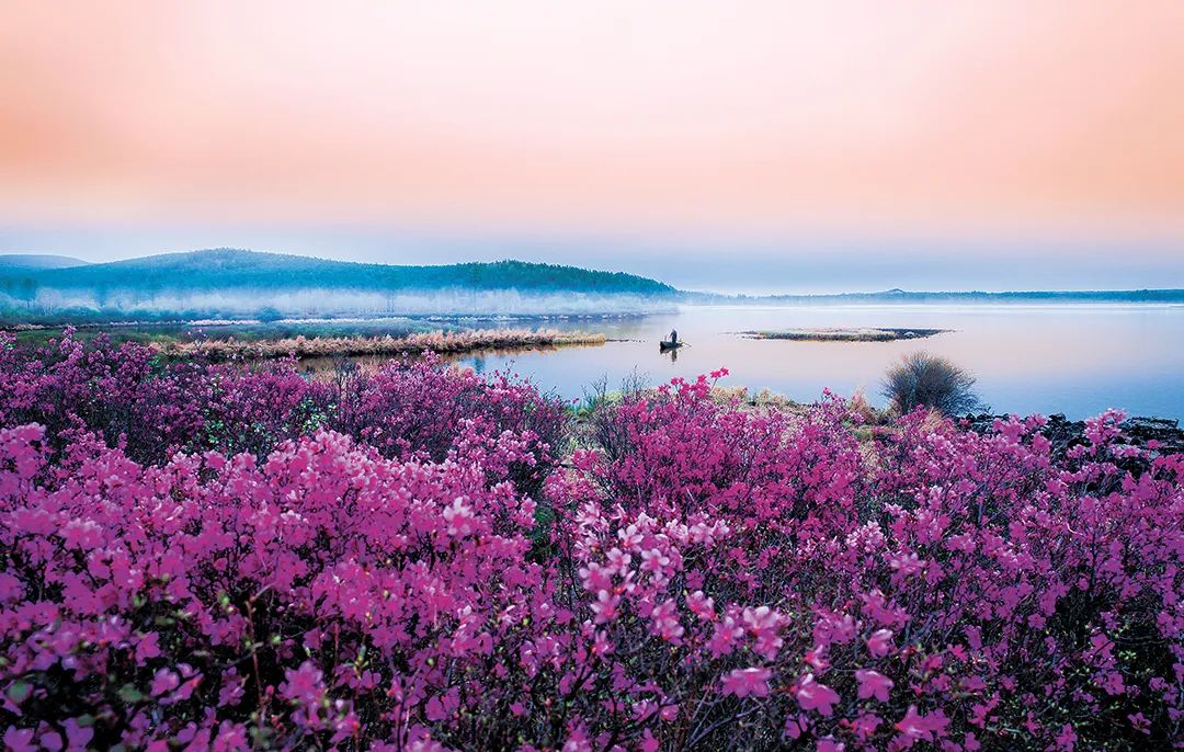 大兴安岭优美的风光吸引着众多游人,图为阿尔山国家森林公园杜鹃湖