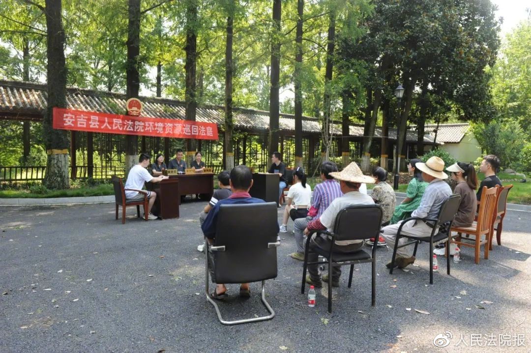 2022年7月27日，浙江省安吉县人民法院“森林法官”在生物多样性司法实践基地巡回审理一起盗伐林木案件。徐巧玲 摄