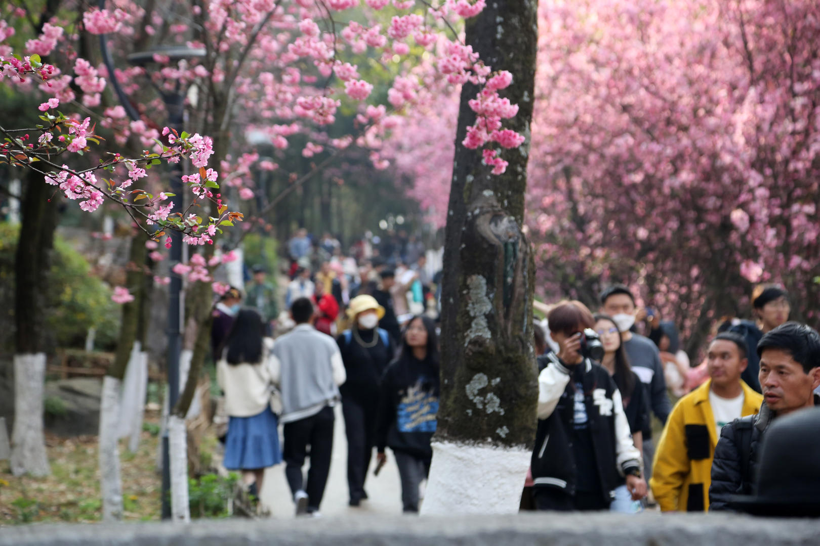 ↑2023年3月4日，昆明，人们享受假日美好春光。图据视觉中国