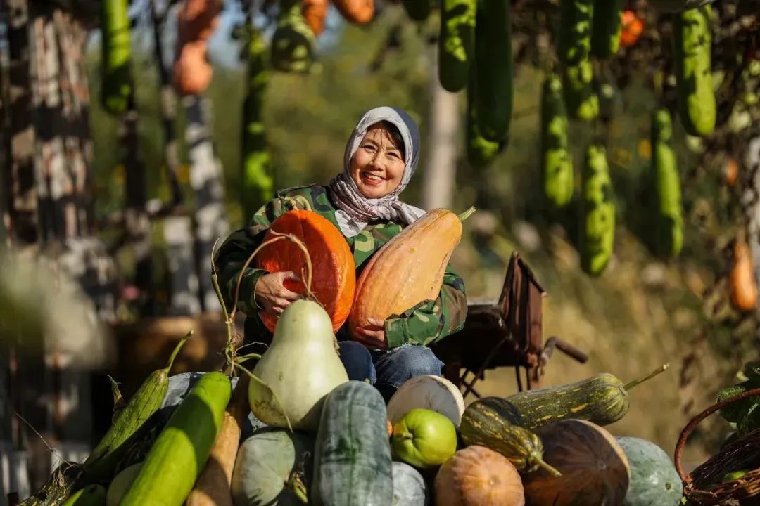 《丰收的喜悦》&nbsp;&nbsp;卢艳秋/摄&nbsp;&nbsp