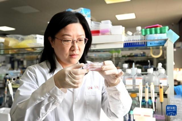 3月2日,中科院合肥物质科学研究院健康与医学技术研究所研究员刘静在