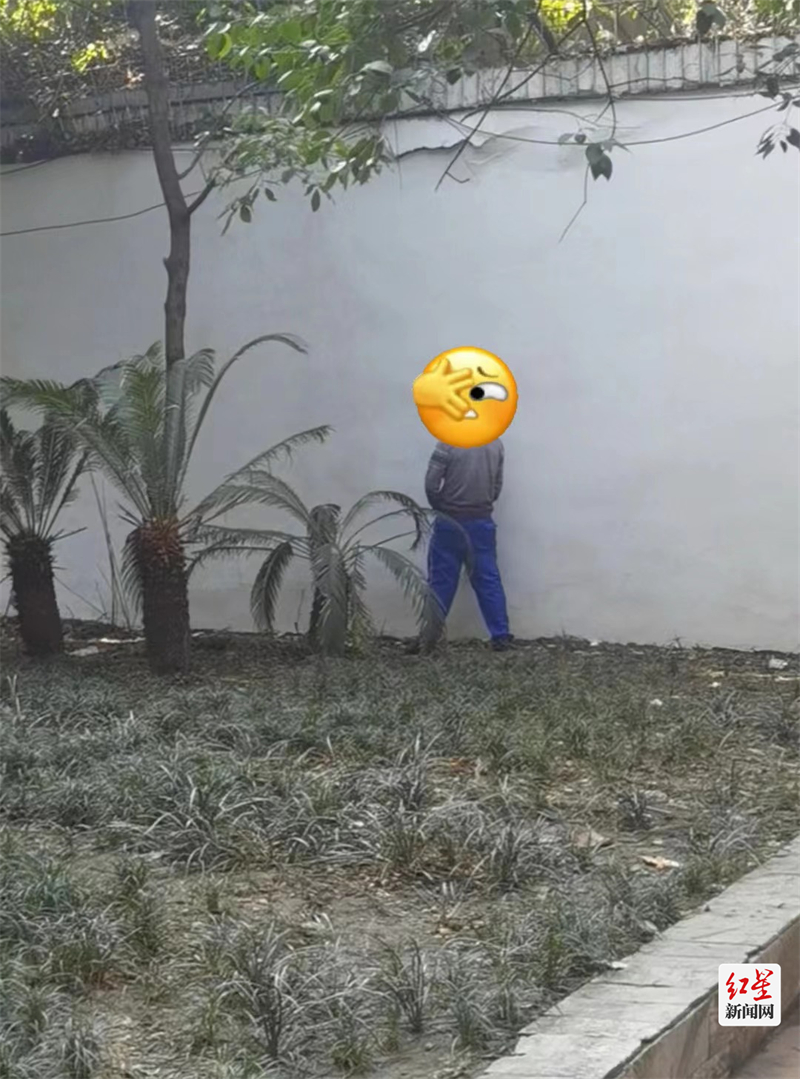 随地小便的一市民