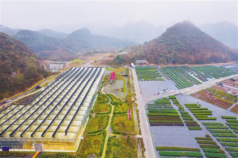 汇境花卉科技园. 陈鹤 摄