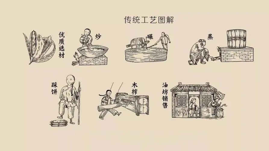 茶油2.0时代——人工榨油进阶为机械榨油