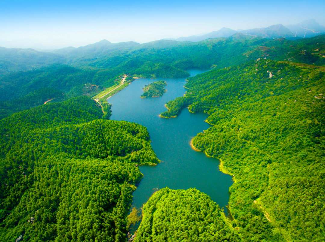 一方青绿,一城诗画!绿美江门,处处好春光!