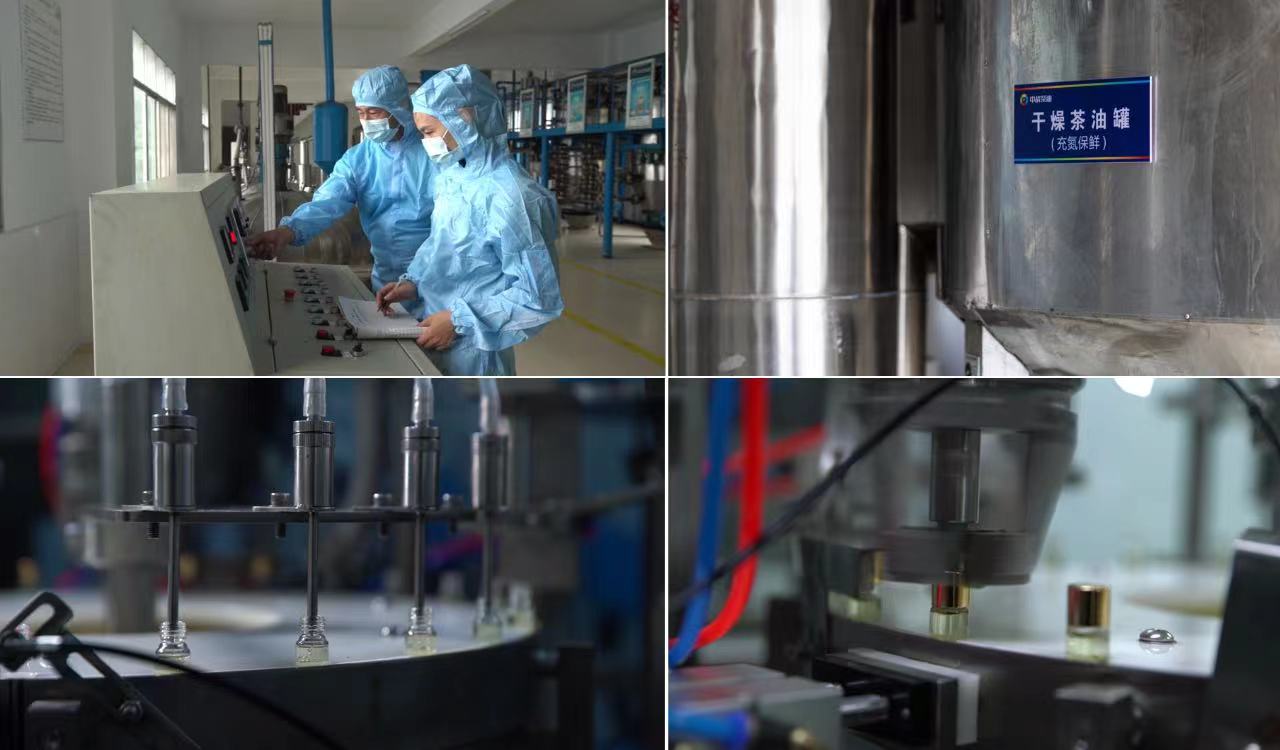 　　△中战茶油生产车间