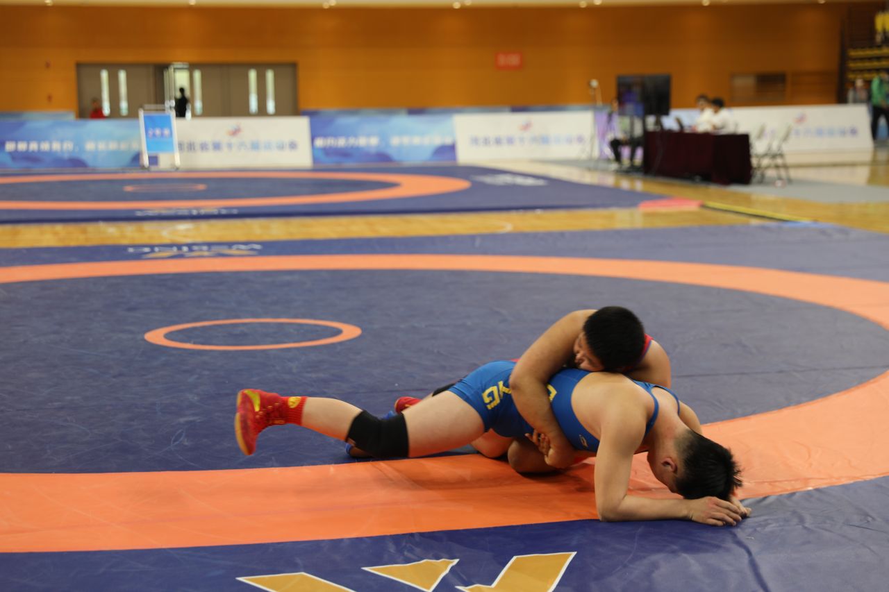 省运会青少年组男子自由式摔跤比赛8日落幕|自由式摔跤_新浪财经_新浪