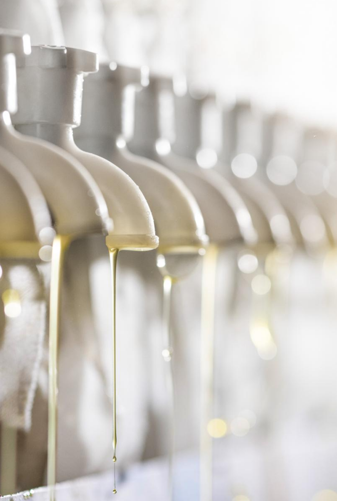 　　△中战茶油生产车间