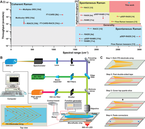 　　《先进科学》(Advanced Science)文章页面中,关于拉曼流式细胞检测技术原理的插图