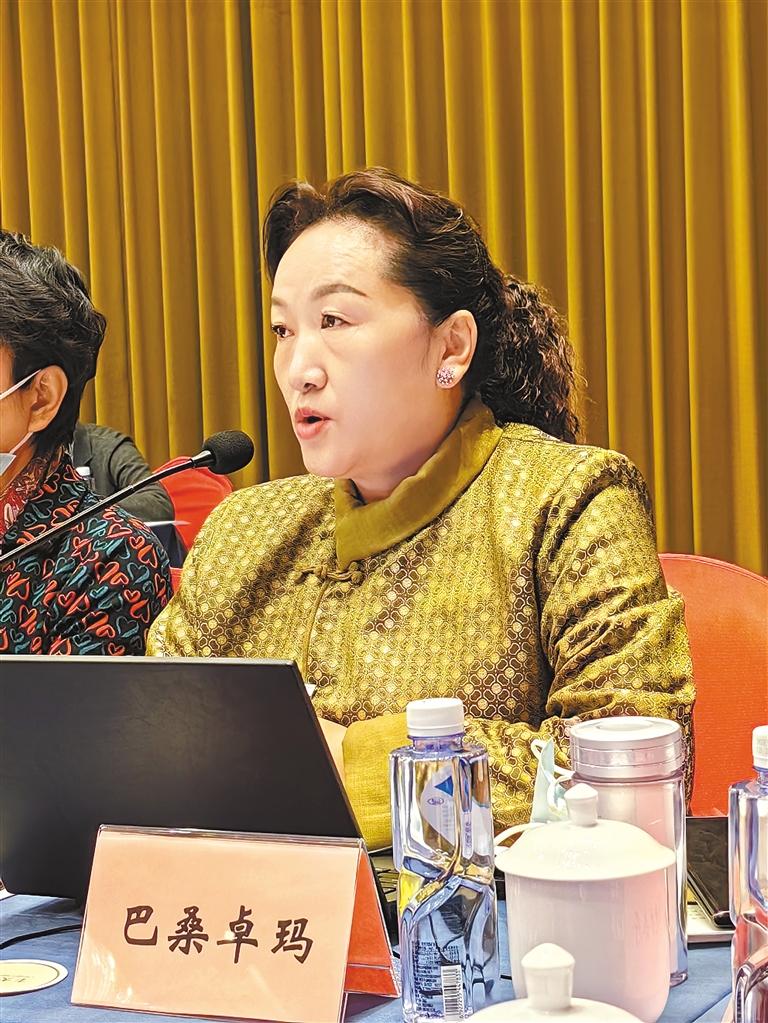图为巴桑卓玛参加医药卫生界小组讨论.旦增兰泽摄