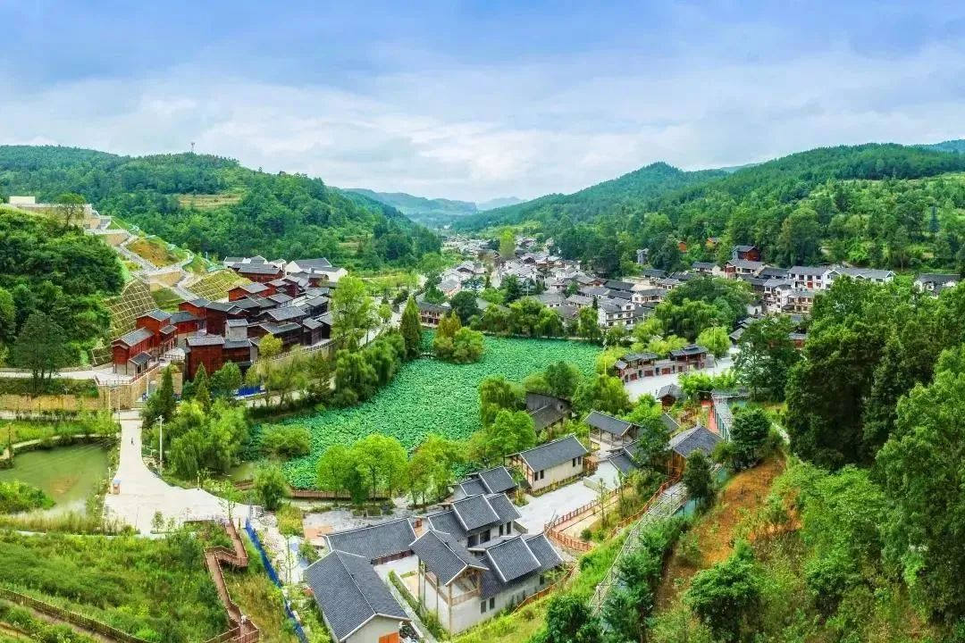 乡约贵州· 乌当区陇脚村丨风动竹林,这个周末一起收获绿意|贵州省