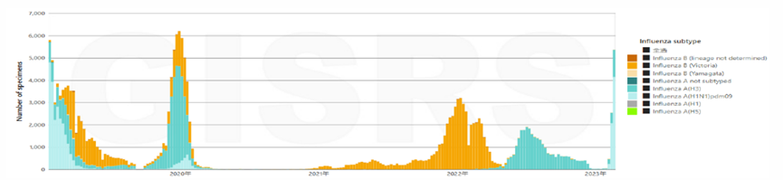 来源：全球流感监测和应对系统（GISRS），国泰基金整理