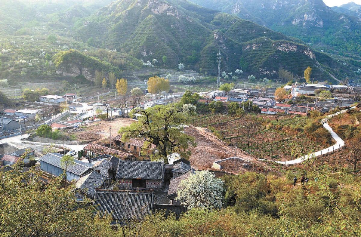 高原的黄土飞沙,东偎华北平原的坦荡沃土,宛如一条巨龙纵卧中国北方