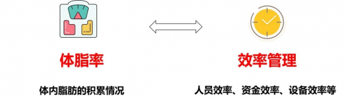 　　(图3：体脂率拟化为效率管理)