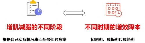 　　(图8：增肌减脂的不同阶段拟化为不同时期的增效降本)