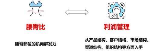 　　(图2：腰臀比拟化为利润管理)