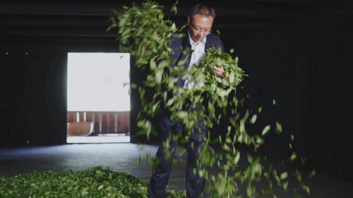 　　江元勋在“青楼”中制茶