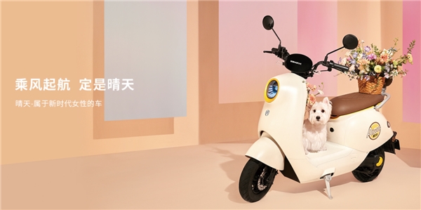 　　图:爱玛晴天-新时代女性车