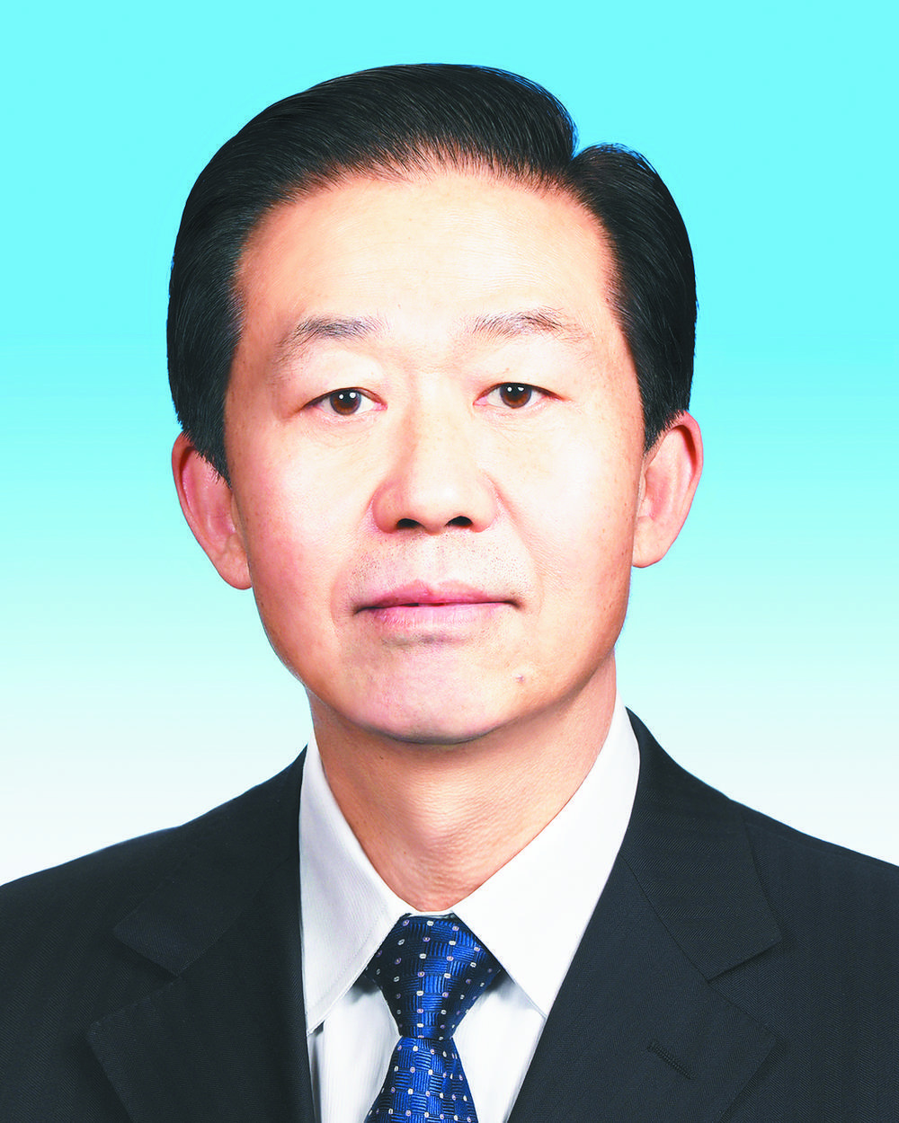 第十四届全国人民代表大会 常务委员会副委员长,秘书长简历_新浪财经