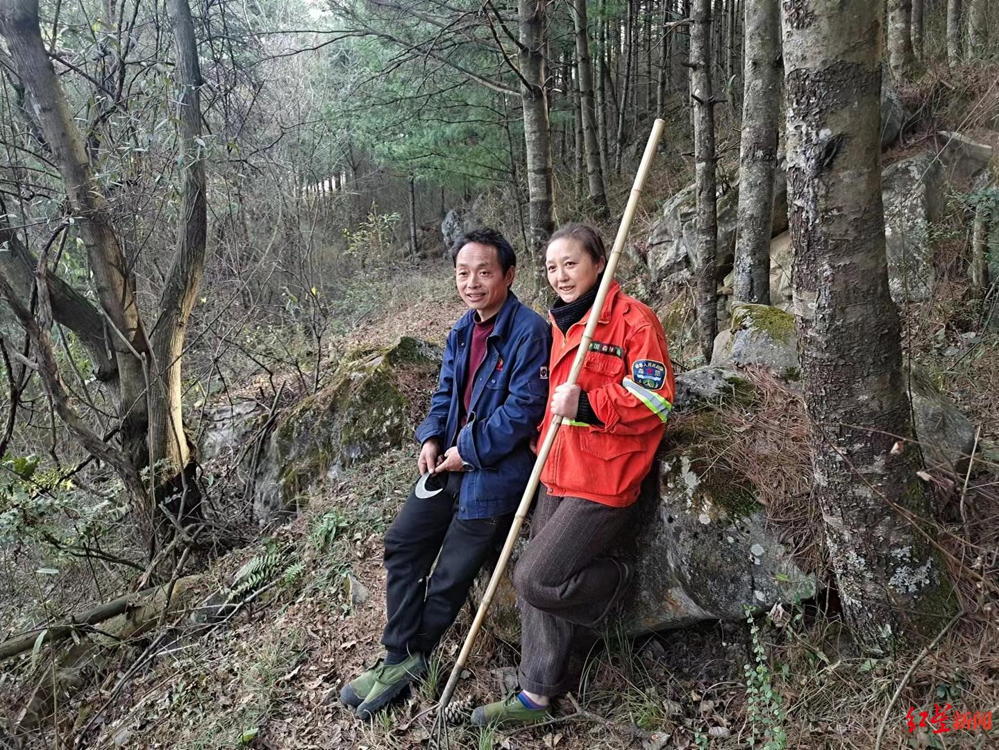 寂静山岭：26年，一个女人和她守护的那片森林……