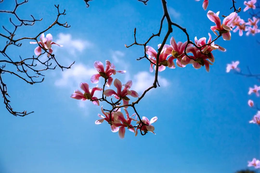 图片来源:视觉中国
