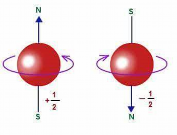 电子的自旋示意图:上自旋(左)和下自旋(右).