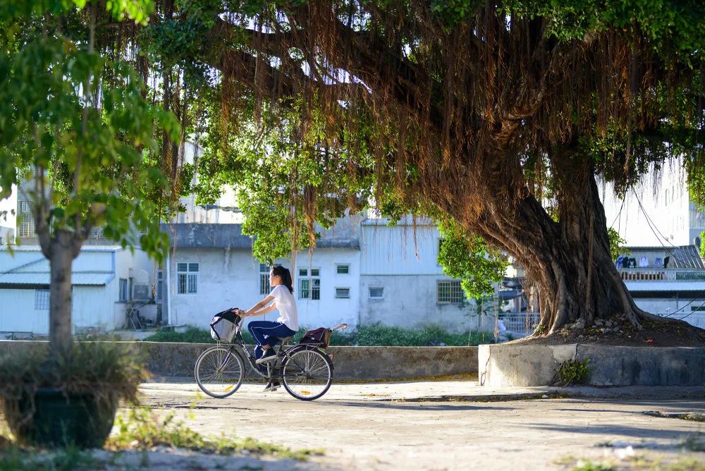 广东省潮州市潮安区金石镇塔下村,放学的孩子穿过村道,走在归家的路上