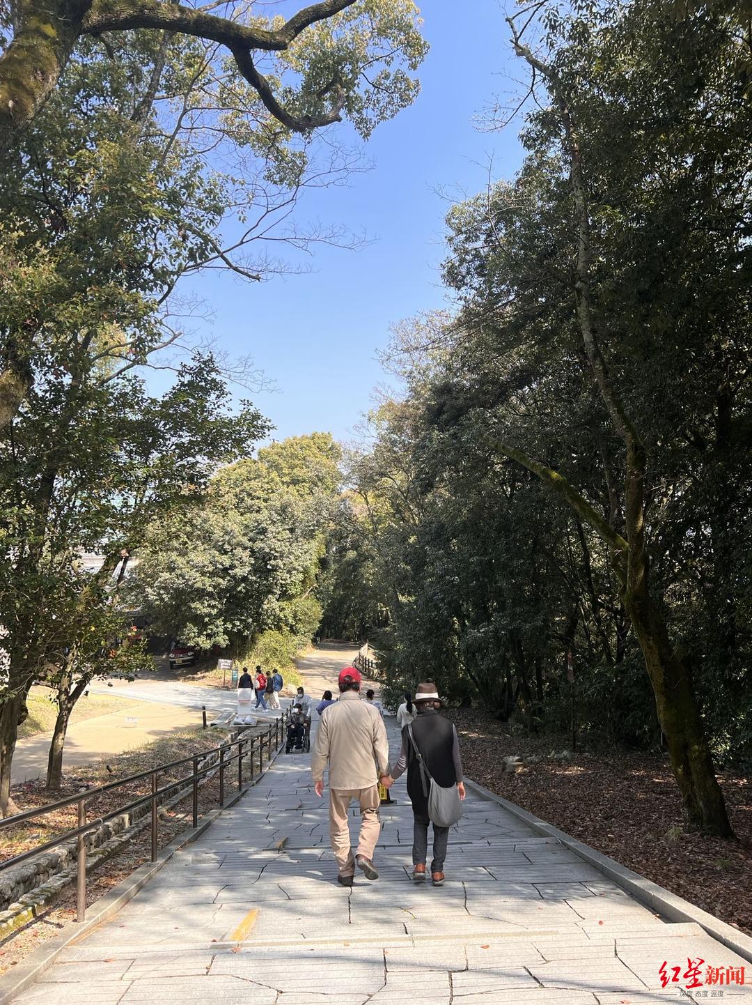 ↑日本的公园里，一对老年夫妇手牵着手散步。受访者供图