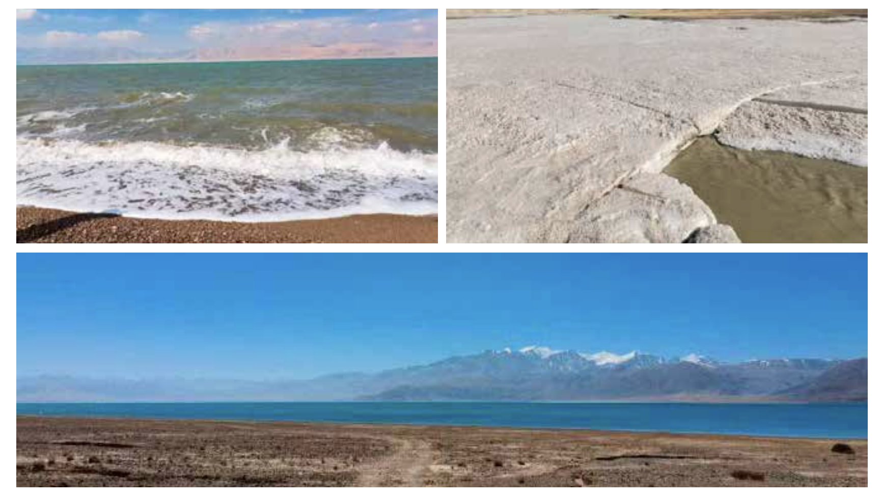 　　图片来源：公司年报