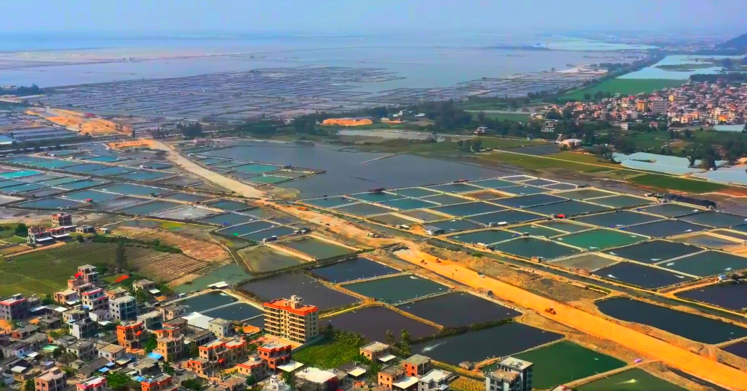海南环岛旅游公路乐东段正冲刺"最后一公里"|海南省_新浪财经_新浪网