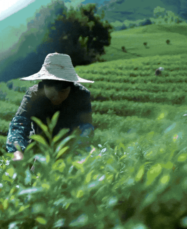 图片源自网络搜索，侵权联系删除