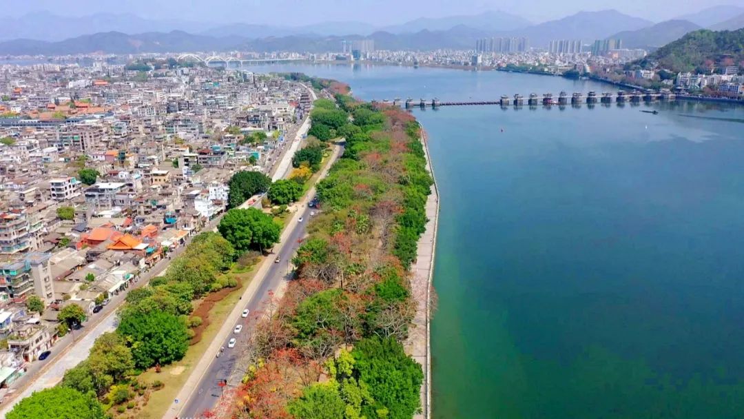 木棉花开 美艳凤城|潮州市_新浪财经_新浪网