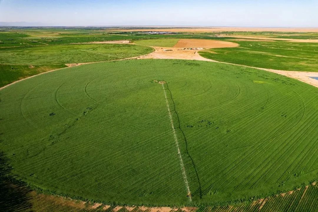 蒙牛乌兰布和沙漠牧场