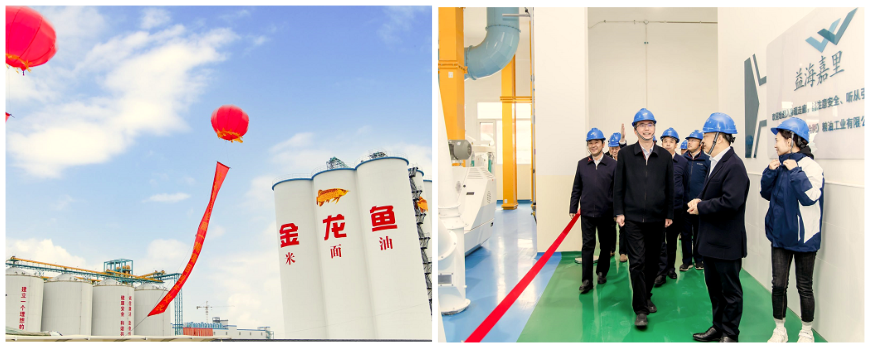 　　(到会嘉宾参观益海嘉里合肥工厂)