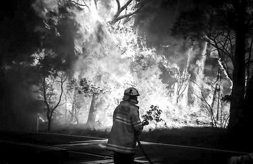 臭氧层：澳大利亚野火撕碎臭氧层