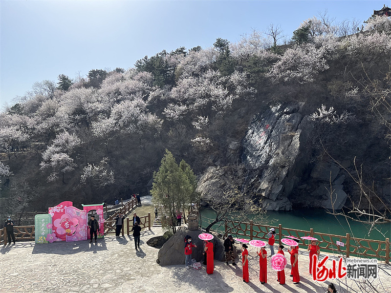 赞皇信息化seo技术要多少钱