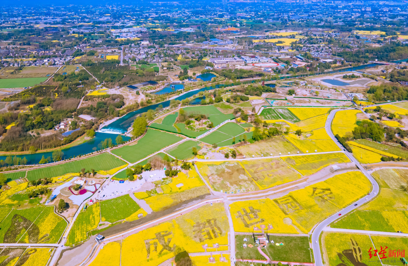 听春野音乐会吃花田火锅成都郫都区田园菜花节将于3月16日启幕