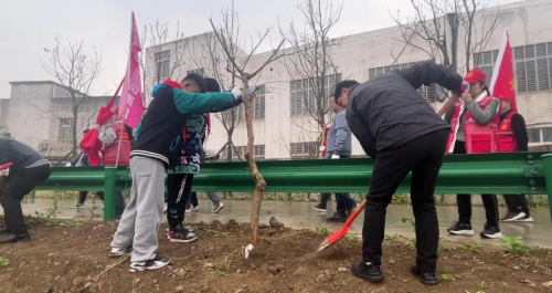 　　(党员和学生代表们默契配合,为树苗安家)