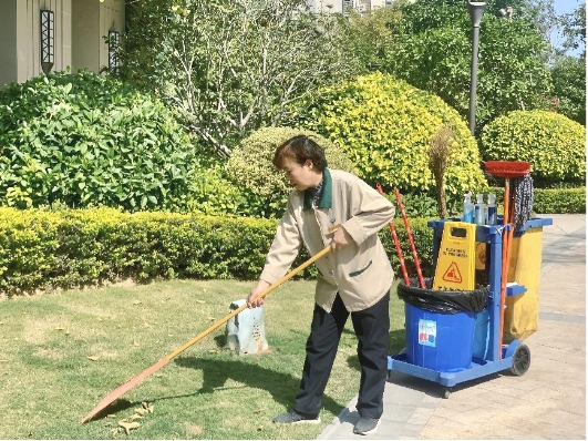 　　【厦门世茂服务植被翻新】