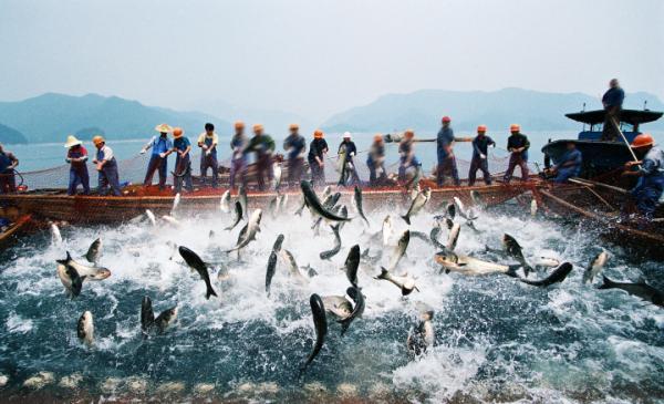 巨网捕鱼 图片来源于视觉中国