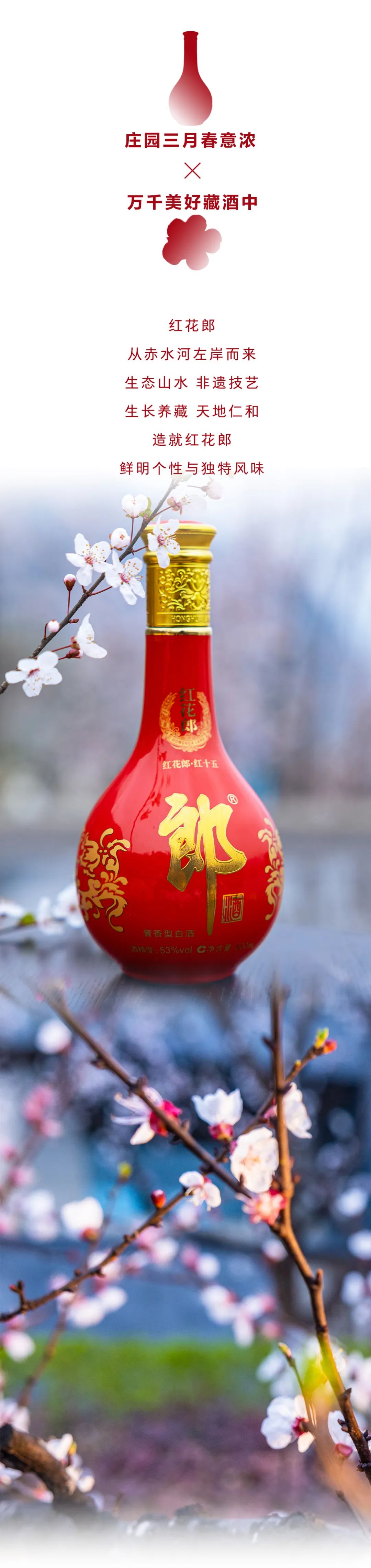 绽放20年 红花正当红 红花郎携多重惊喜大礼红火喜庆报春来!_新浪财经