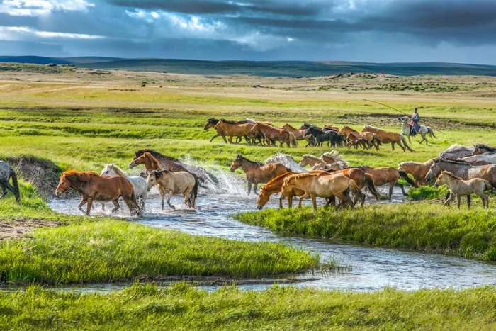 中国驻悉尼旅游办事处线上推介"亮丽内蒙古"|内蒙古_新浪财经_新浪网