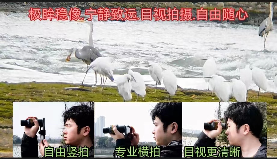 　　在成都府南河边观看白鹭,手持横拍视频截图