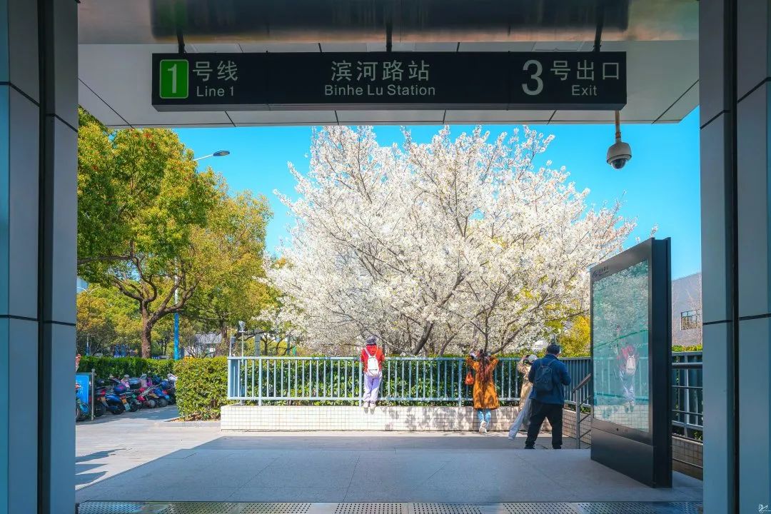 滨河路站3号口火啦!|苏州市_新浪财经_新浪网