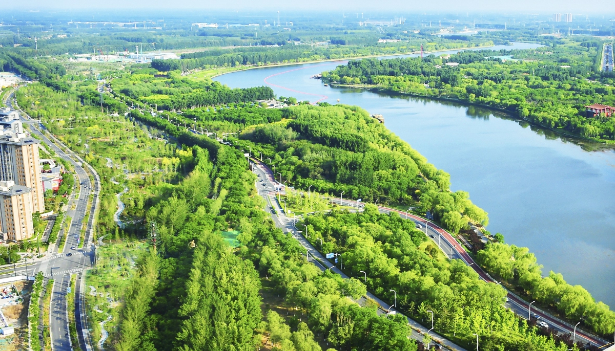 大运河畔蜿蜒的绿道给市民提供了丰富的休闲健身空间.